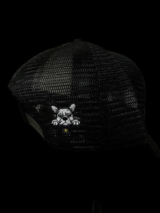 Stardawg Flavours! Hat